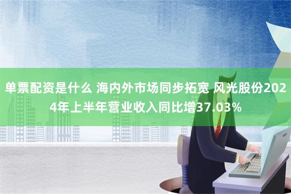 单票配资是什么 海内外市场同步拓宽 风光股份2024年上半年营业收入同比增37.03%