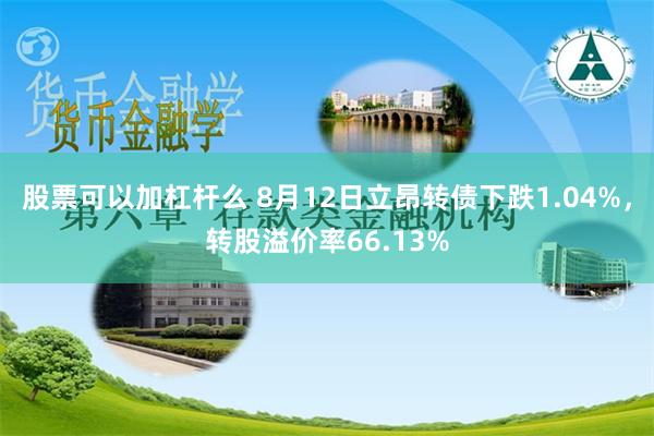 股票可以加杠杆么 8月12日立昂转债下跌1.04%，转股溢价率66.13%