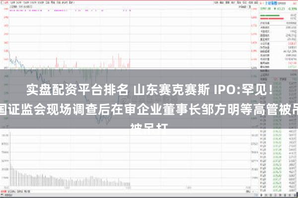 实盘配资平台排名 山东赛克赛斯 IPO:罕见！中国证监会现场调查后在审企业董事长邹方明等高管被吊打