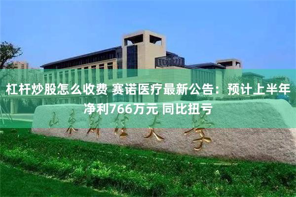 杠杆炒股怎么收费 赛诺医疗最新公告：预计上半年净利766万元 同比扭亏