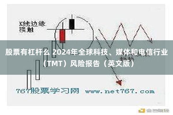 股票有杠杆么 2024年全球科技、媒体和电信行业（TMT）风险报告（英文版）